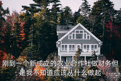 刚到一个新成立的农业合作社做财务但是我不知道应该从什么做起