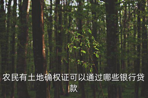 确权后怎么申请农业贷款，农村的土地确权后能否贷款