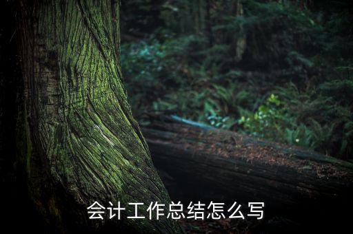 农业农村局会计总结怎么写，会计工作个人总结怎么写