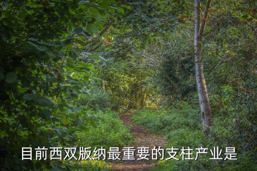 目前西双版纳最重要的支柱产业是