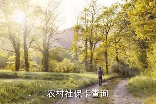 农业补贴社保卡怎么查看，农业补贴怎么用手机查