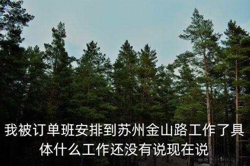 我被订单班安排到苏州金山路工作了具体什么工作还没有说现在说