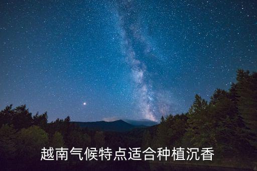 越南气候特点适合种植沉香