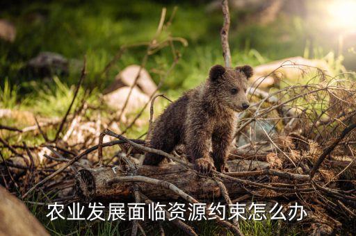 当农业遇到工业怎么办，现代人类应该怎样面对工业化和城市化