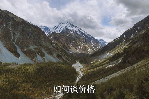 智慧农业的项目怎么谈价格，怎样和意向供应商谈价钱