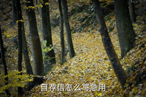 农业公司自荐信怎么写，请问自荐信怎么写