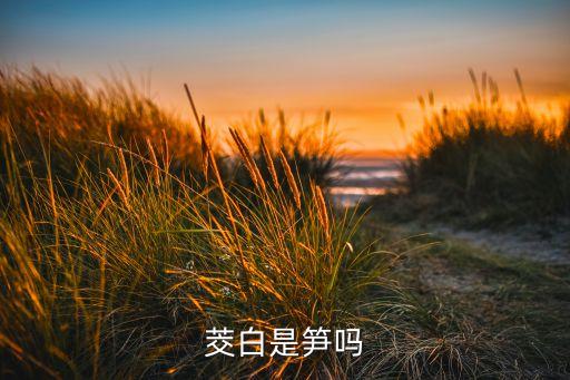 茭白是笋类吗，茭白是笋吗
