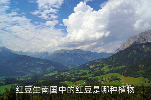 红豆生南国中的红豆是哪种植物