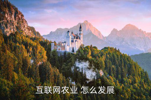 农业互联网怎么开展的，如何实现互联网现代农业行动