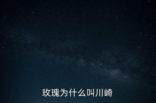 玫瑰为什么叫川崎