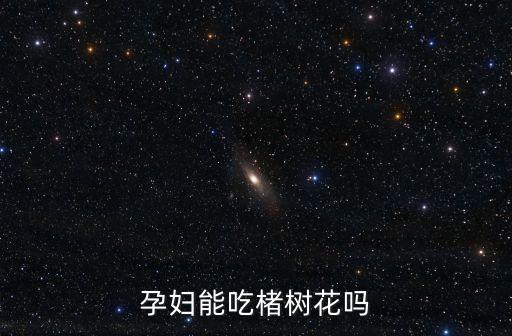 楮树花，楮树花俗称楮不几怎么做好吃
