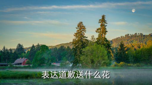表达道歉送什么花