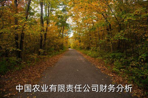 中国农业有限责任公司财务分析
