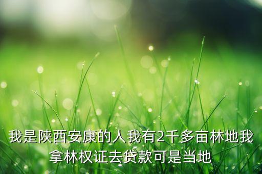 安康陂地农业怎么样，我是陕西安康的人我有2千多亩林地我拿林权证去贷款可是当地