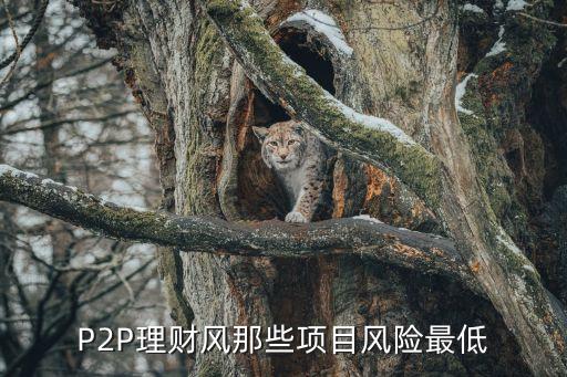 农业项目重复投资怎么办，我农业项目想融资至少三千万以上不知道该怎么融到资求各位大