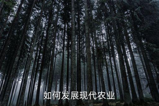 如何发展现代农业