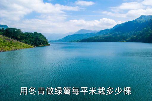 冬青绿篱，绿篱和冬青是一样的吗