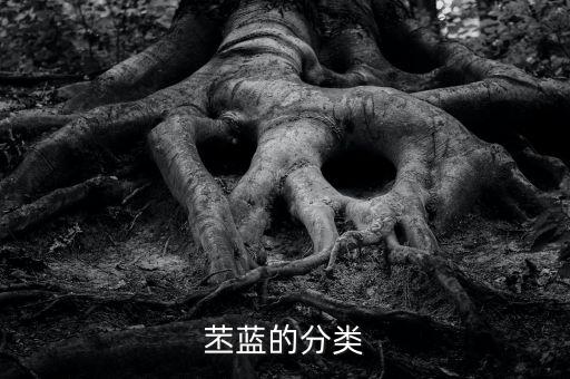 球茎甘蓝，这是什么菜名