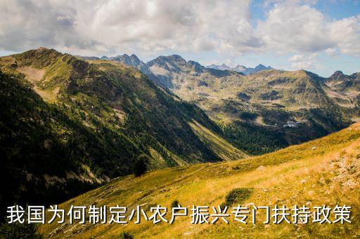 我国为何制定小农户振兴专门扶持政策