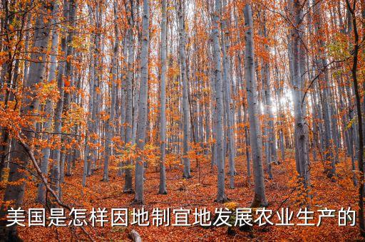 现在美国农业水平怎么样，美国农业生产的缺点是什么