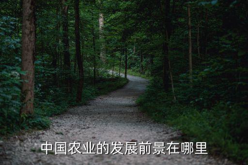 中国农业的发展前景在哪里