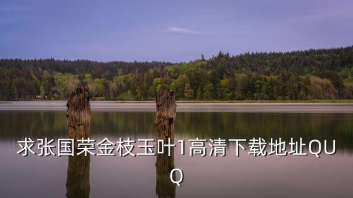 求张国荣金枝玉叶1高清下载地址QUQ
