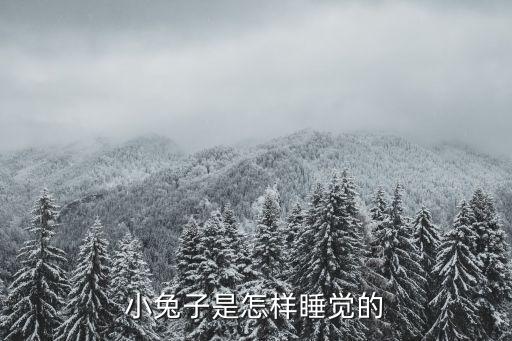 小兔子是怎样睡觉的