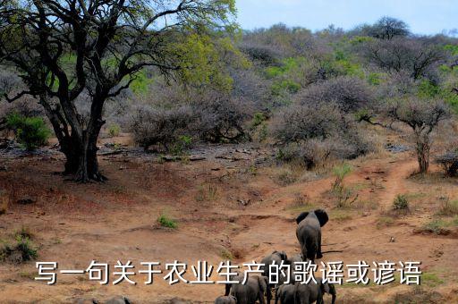 关于农业的书跋怎么写，第一部关于农业的书
