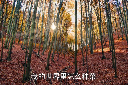 我的世界里怎么种菜