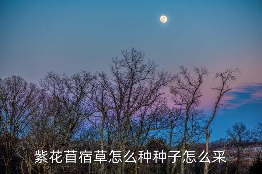 苜蓿草种子，为什么南方苜蓿种子不如北方饱满