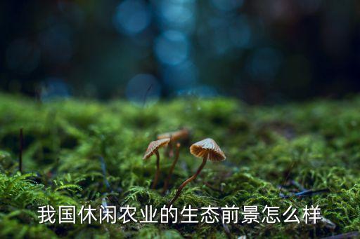 我国休闲农业的生态前景怎么样